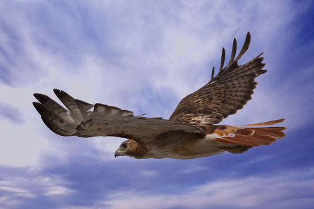 The Great Escapeの写真素材