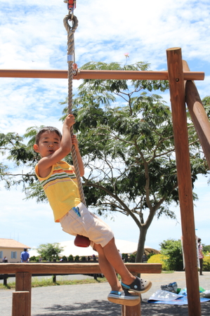 Japanese boy playing with Tarzan ropeの写真素材