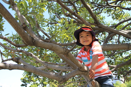 Boy climbing the treeの写真素材