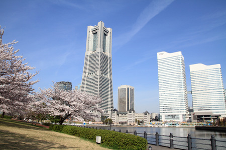 Yokohama Landmark Tower and the cherry blossoms in Japanのeditorial素材
