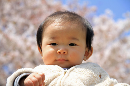 Baby boy and cherry blossomsの写真素材