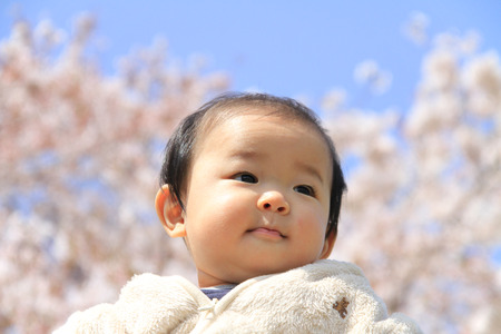 Baby boy and cherry blossomsの写真素材
