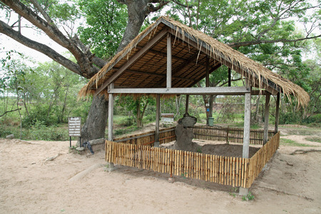 killing field in Phnom Penh, Cambodiaのeditorial素材