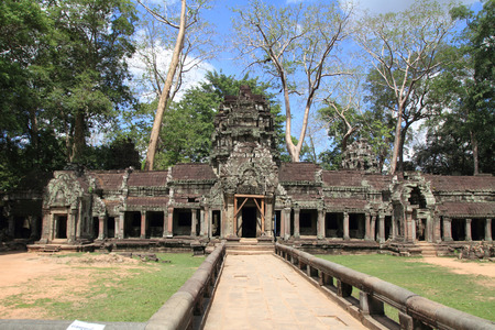 Ta Prohm in Angkorの写真素材