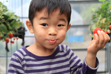 Japanese boy and strawberryの写真素材