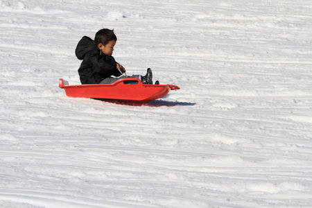 Japanese boy on the sled (3 years old)