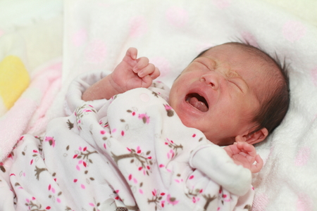 Crying newborn baby (Japanese baby girl)の写真素材