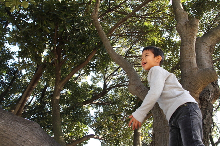 Japanese boy climbing the tree (6 years old)の写真素材