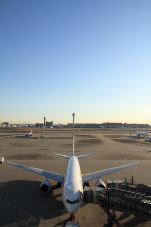 Airplane parking at Tokyo international airportのeditorial素材
