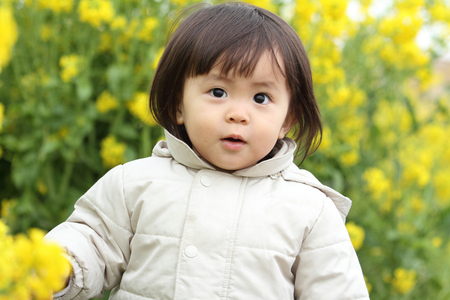 Japanese baby girl (1 year old) and yellow field mustardの写真素材