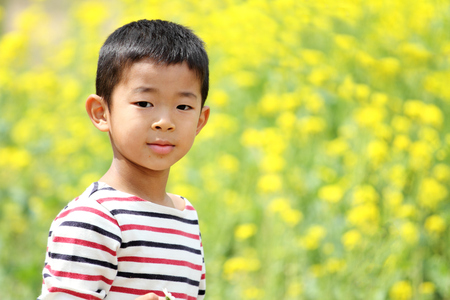 Japanese boy (6 years old) and yellow field mustardの写真素材