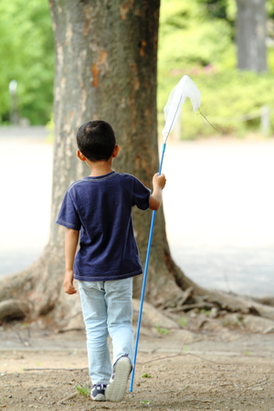 Japanese boy collecting insect (6 years old)の写真素材