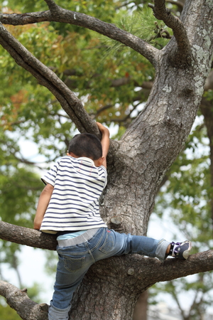 Japanese boy climbing the tree (first grade at elementary school)の写真素材