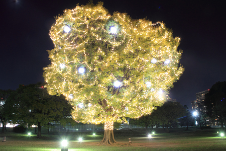 Christmas illuminationの写真素材