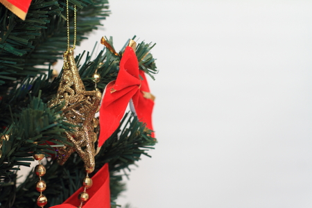 Christmas treeの写真素材