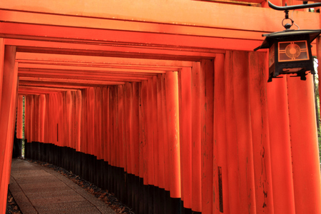 torii gate of Fushimi Inari Taisha in Kyoto, Japanの写真素材