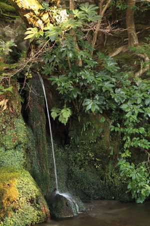 fountain of Ginkaku ji in Kyoto, Japanの写真素材