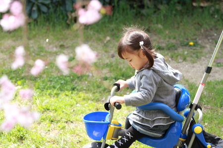 Japanese girl riding on the tricycle (2 years old) and cherry blossomsの写真素材