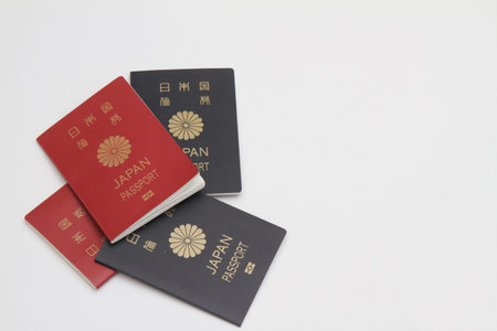Japanese passport (red and blue)