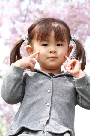 Japanese girl and cherry blossoms (2 years old)の写真素材