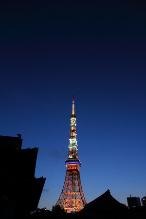Tokyo tower and Zojo ji in Shiba, Tokyo, Japan (night scene)のeditorial素材