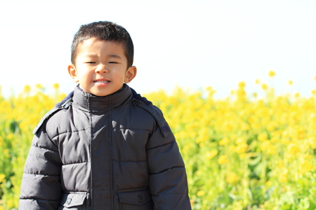 Japanese boy and rape blossoms (3 years old)の写真素材