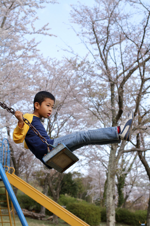 Japanese boy on the swing (third grade at elementary school)の写真素材
