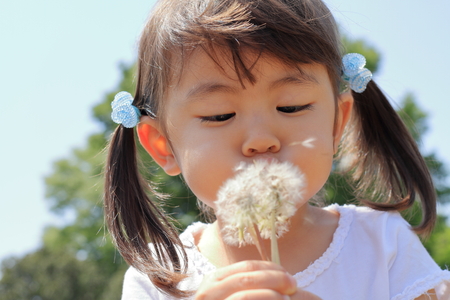Japanese girl blowing dandelion seeds under the blue sky (3 years old)の写真素材