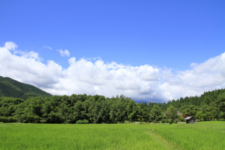 rural scene in Tono, northern Japan (summer)の写真素材