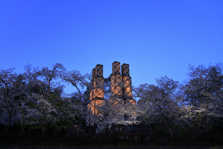 Nirayama reverberatory furnaces and cherry blossoms in Izu, Shizuoka, Japan (night scene)のeditorial素材