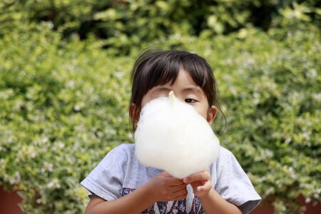Japanese girl eating cotton candy (4 years old)の写真素材