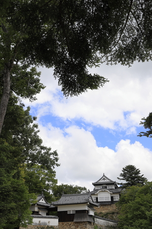 castle keep of Bitchu Matsuyama castle in Okayama, Japanのeditorial素材