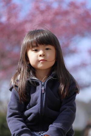 Japanese girl and cherry blossoms (5 years old)の写真素材