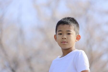 Japanese boy and cherry blossoms (fourth grade at elementary school)の写真素材