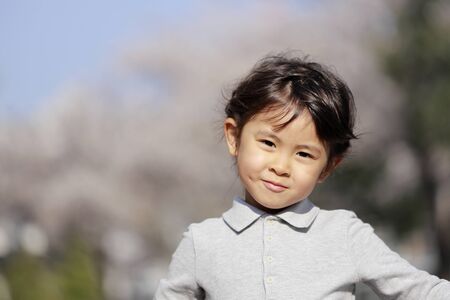 Japanese girl and cherry blossoms (5 years old)の写真素材