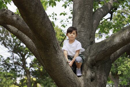 Japanese girl climbing the tree (5 years old)の写真素材
