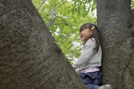 Japanese girl climbing the tree (5 years old)の写真素材