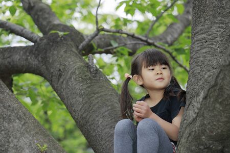 Japanese girl climbing the tree (5 years old)の写真素材