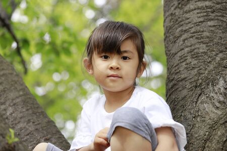 Japanese girl climbing the tree (5 years old)の写真素材