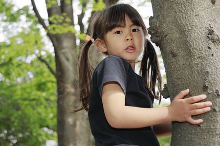 Japanese girl climbing the tree (5 years old)の写真素材