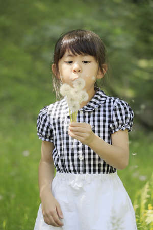 Japanese student girl blowing dandelion seeds (6 years old)の写真素材