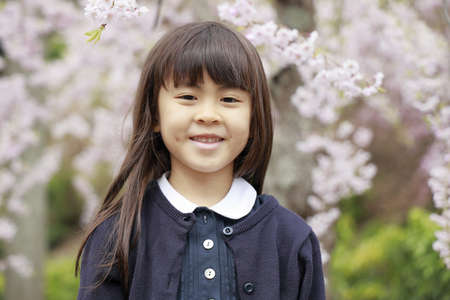 Japanese girl and cherry blossoms (7 years old)の写真素材