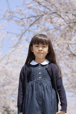 Japanese girl and cherry blossoms (7 years old)の写真素材