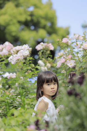 Japanese girl in flower garden (7 years old)の写真素材