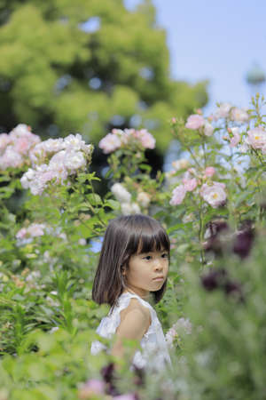 Japanese girl in flower garden (7 years old)の写真素材