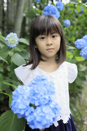 Japanese girl and hydrangea (7 years old) (blue)の写真素材