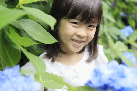 Japanese girl and hydrangea (7 years old) (blue)の写真素材