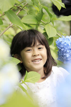 Japanese girl and hydrangea (7 years old) (blue)の写真素材