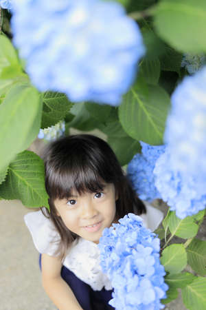 Japanese girl and hydrangea (7 years old) (blue)の写真素材