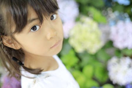 Japanese girl and hydrangea (7 years old)の写真素材
